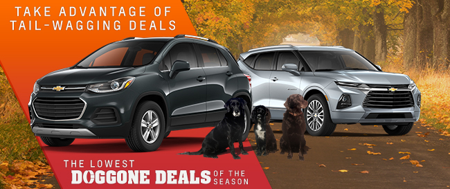 The Lowest Doggone Deals Of The Season
