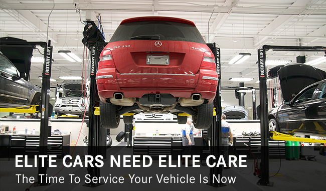 Elite Cars Need Elite Care