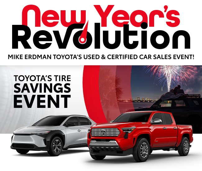 The New Year's Revolution