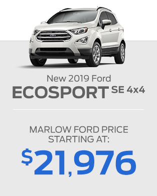 2019 Ford EcoSport SE 4X4