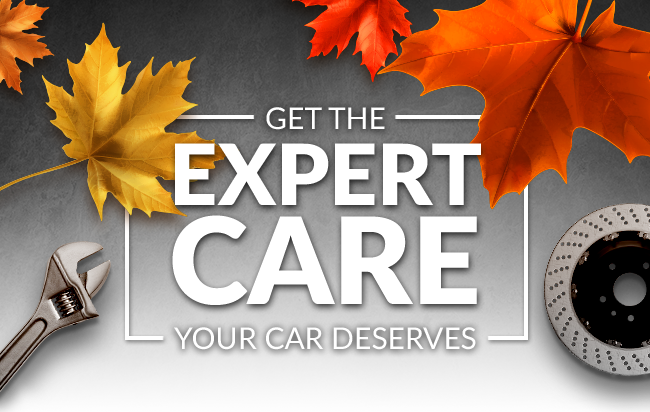 Get the Expert Care you car decerves