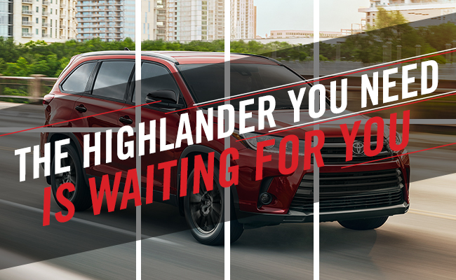 The Highlander You Need Is Waiting For You