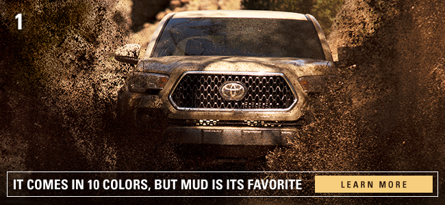 It comes in 10 colors, but mud is its favorite.