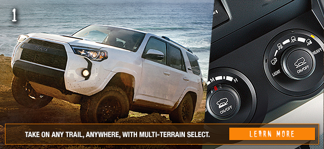 Take on any trail, anywhere, with Multi-Terrain Select.