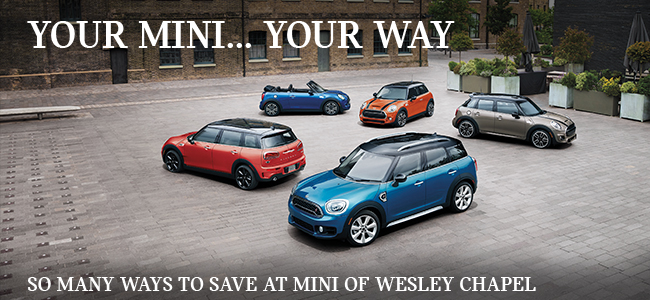 Your wish is our command - Custom Order your New Mini today