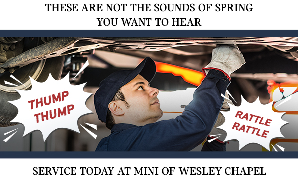 Not The Sounds Of Spring You Want To Hear Service Today at MINI Of Wesley Chapel