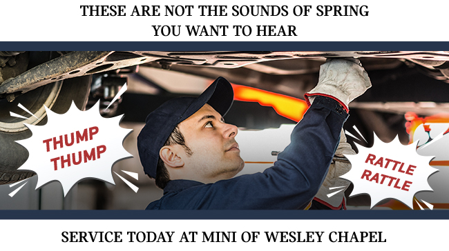 Not The Sounds Of Spring You Want To Hear Service Today at MINI Of Wesley Chapel