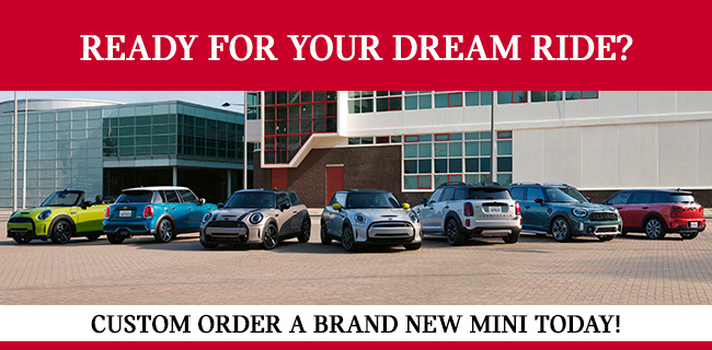 Custom Order A Brand New Mini