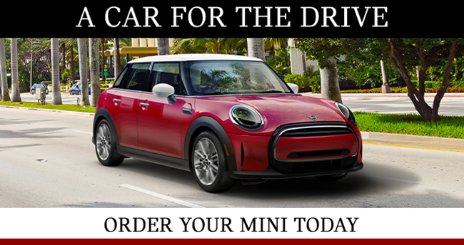 Custom Order A Brand New Mini