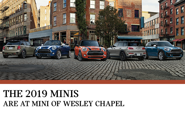The 2019s Minis Are At Mini Of Wesley Chapel