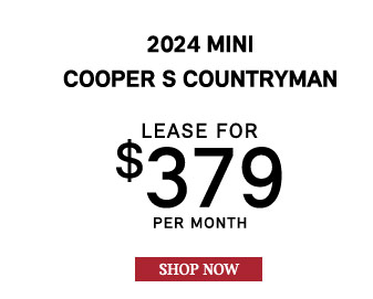 Mini of Wesley Chapel offer3