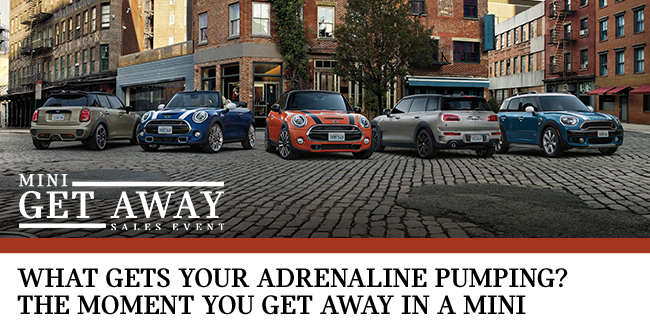 What Gets Your Adrenaline Pumping?