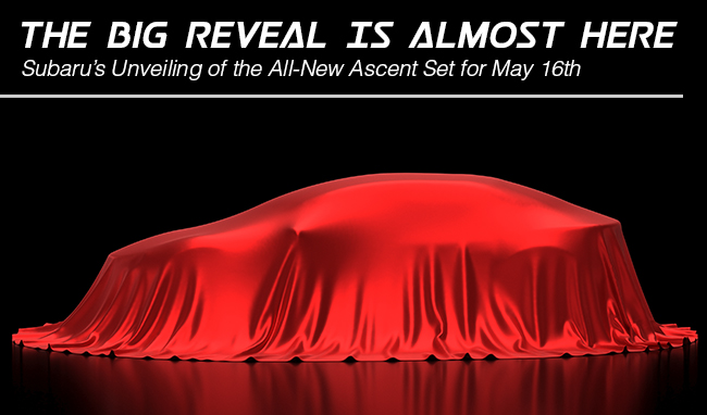 The Big Reveal Is Almost Here
