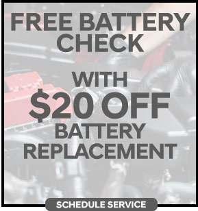 Free Battery Check