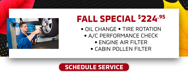 Summer Special-Click to Schedule Service