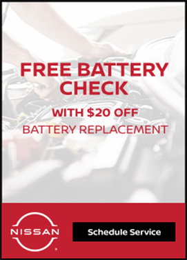 free battery check