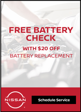 free battery check