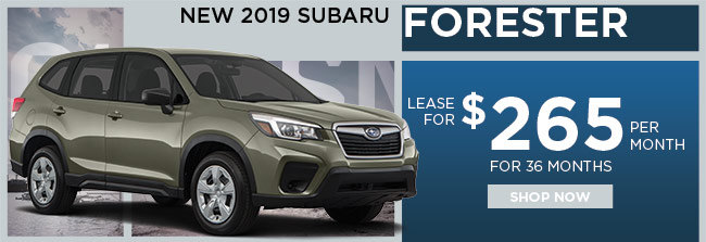 New 2019 Subaru Forester