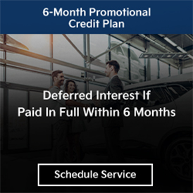 6-Month Promotional Credit Plan