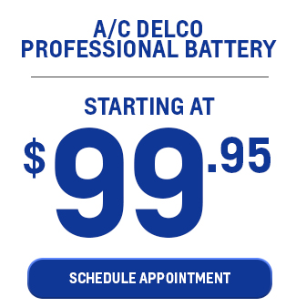 A/C Delco Professional Battery