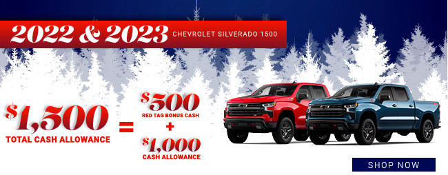 2022 and 2023 Chevrolet Silverado 1500