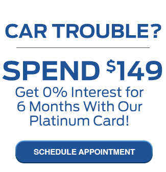 Spend $149 Get 0% Interest for 6 Months With Our Platinum Card!