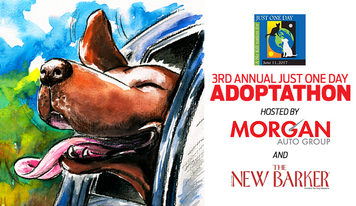  The 3rd Annual Adopt-A-Thon At Rountree Moore Ford.