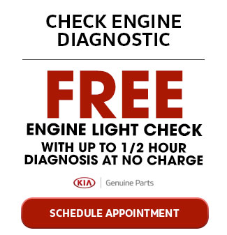 Check Engine Diagnostic