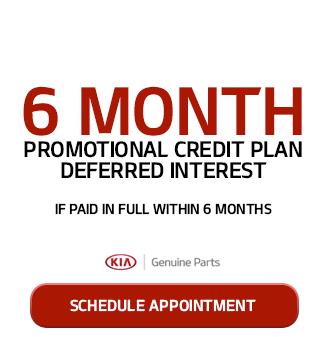 6 Month Promotional Credit Plan Deferred Interest