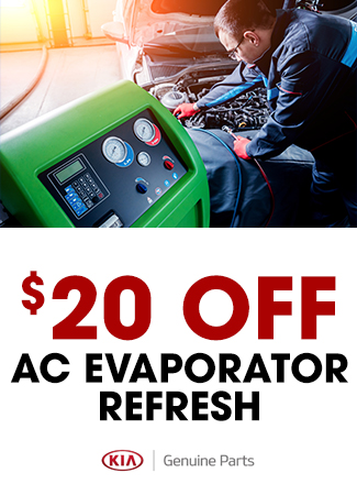 $20 Off AC Evaporator Refresh