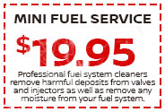 Mini Fuel Service $19.95