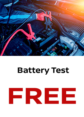 Battery Test Coupon