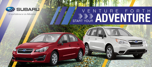 Venture Forth & Start Your Adventure!