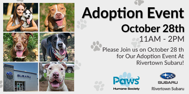 Adoption Event 10-28 11am - 2pm