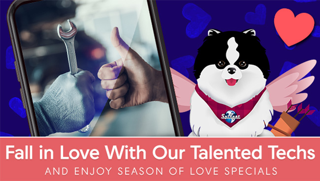 fall in love with our talented techs and enjoy season of love specials