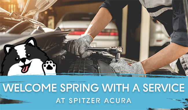 Welcome Spring with a service at Spitzer Acura