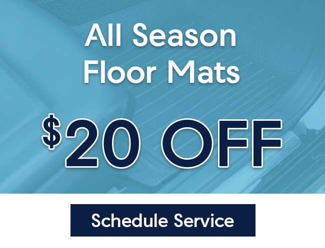 All Season floor mats special