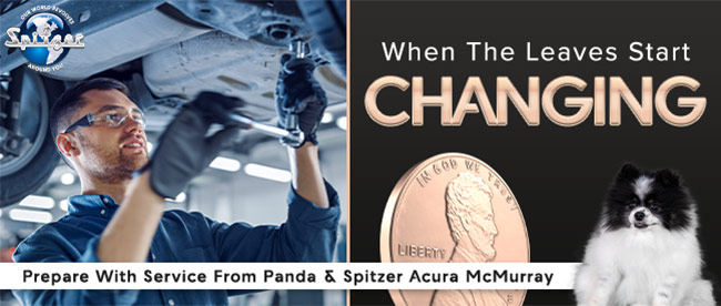 promotional offers on service for your vehcile at Spitzer Acura