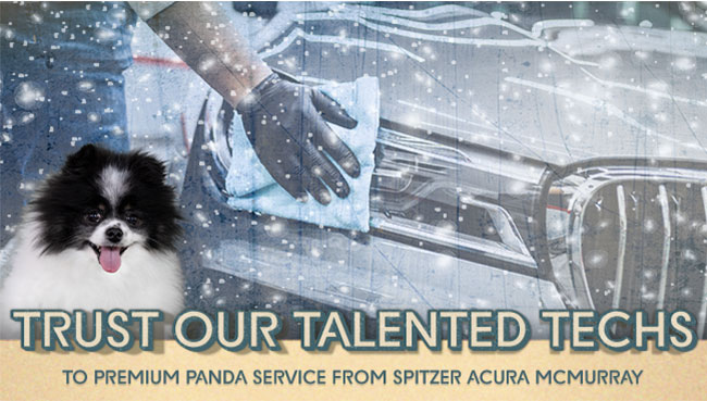 trust our talented techs to premium Panda service from Spitzer Acura McMurray