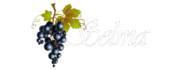 Selma Auto Mall Logo