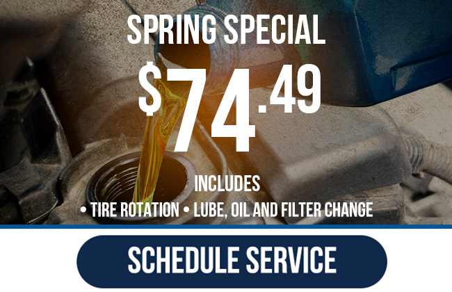 seasonal service special