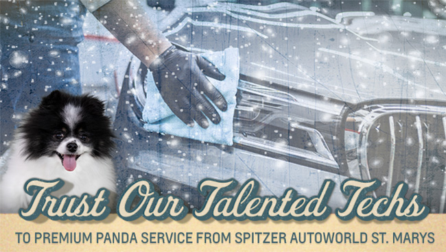 trust our talented techs to premium Panda service from Spitzer Sutoworld St. Marys