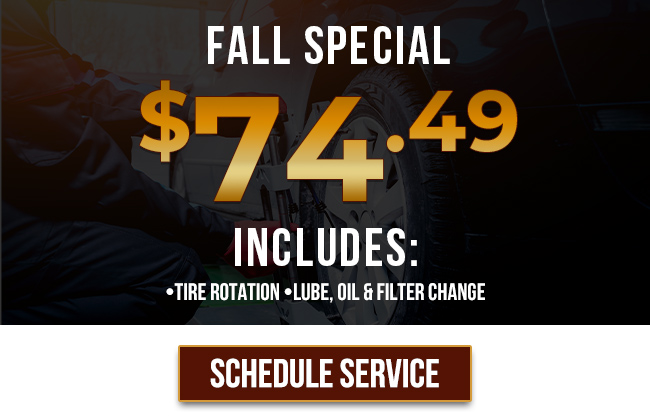 seasonal service special