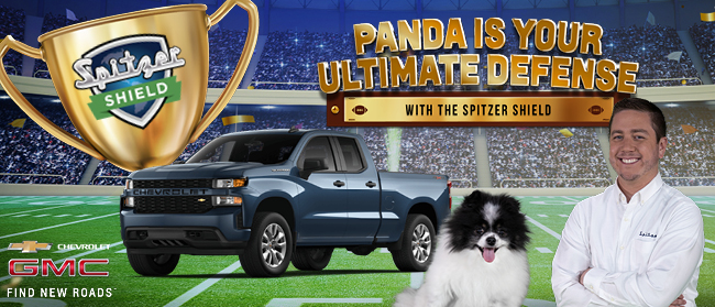 Panda is your Ultimate defense with the Spitzer Shield