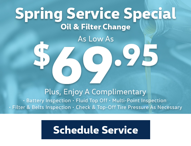 Spring service special