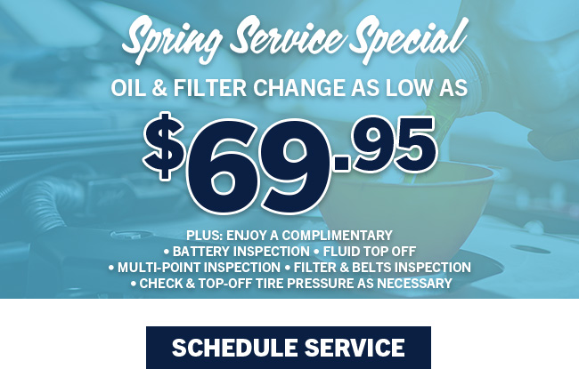 Spring Service Special