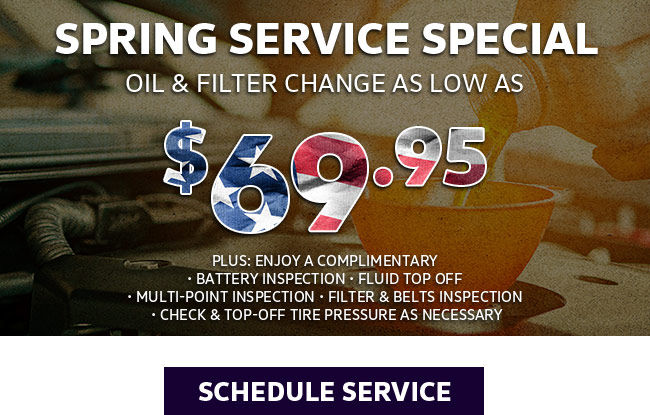 Spring Service Special