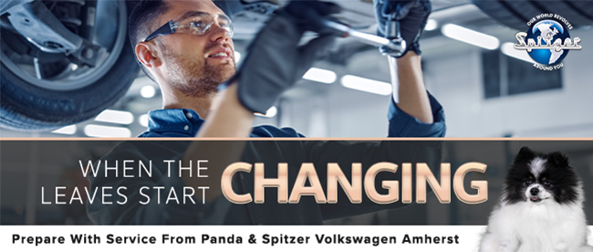 Special Offer from Spitzer VW