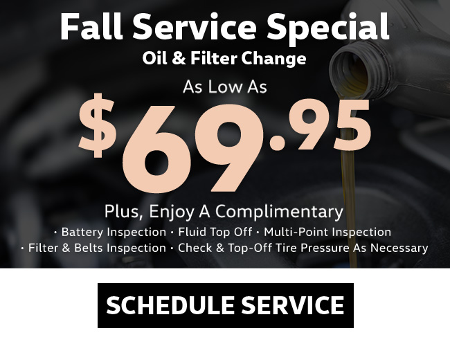 Summer oil and filter special