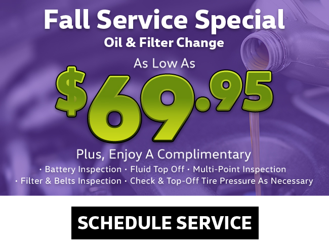 Fall Service Special